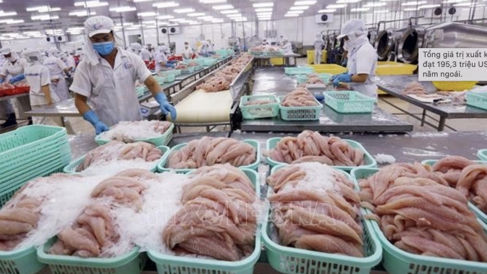 Pangasius exports to Canada see 10% over 10 months